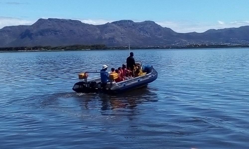 Happy guests enjoying a boat jumping contest on a sunny day
